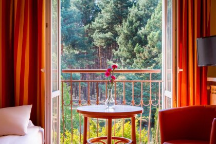 hotel *** - Hotel Perła Leśna - zdjęcie 35