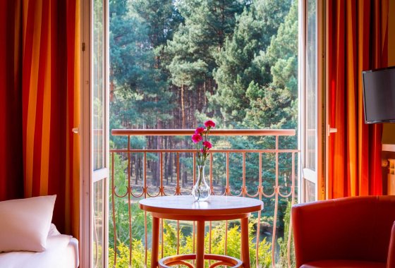 hotel *** - Hotel Perła Leśna - Pokoje - zdjęcie 4