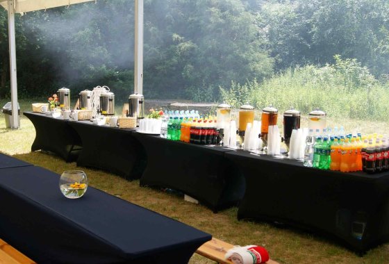 hotel *** - Hotel Perła Leśna - Usługi - zdjęcie 6