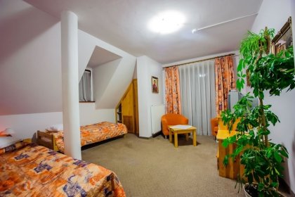 hotel - Hotel Jan Szczawnica - zdjęcie 10