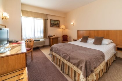 hotel *** - Hotel HP Park *** Olsztyn - zdjęcie 24