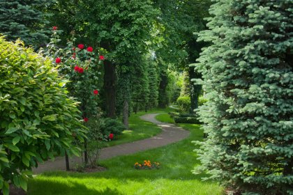 hotel ***** - Crown Piast Hotel & Park - zdjęcie 11