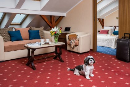 hotel ***** - Crown Piast Hotel & Park - zdjęcie 17