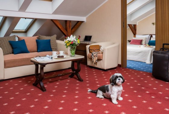 hotel ***** - Crown Piast Hotel & Park - Pokoje - zdjęcie 5