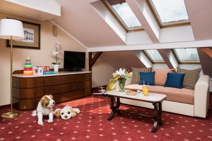 hotel ***** - Crown Piast Hotel & Park - zdjęcie 15