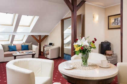 hotel ***** - Crown Piast Hotel & Park - zdjęcie 16