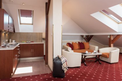 hotel ***** - Crown Piast Hotel & Park - zdjęcie 18