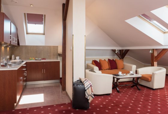 hotel ***** - Crown Piast Hotel & Park - Pokoje - zdjęcie 6