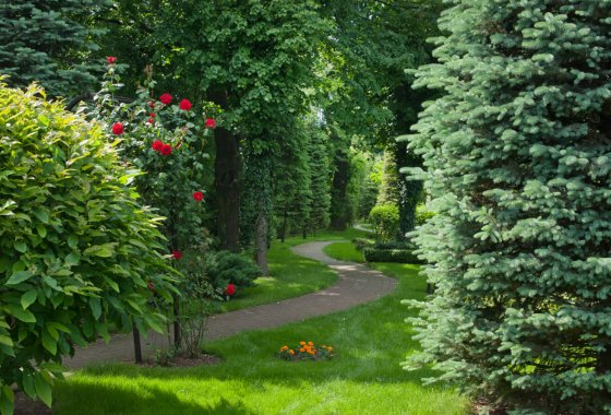 hotel ***** - Crown Piast Hotel & Park - Usługi - zdjęcie 7