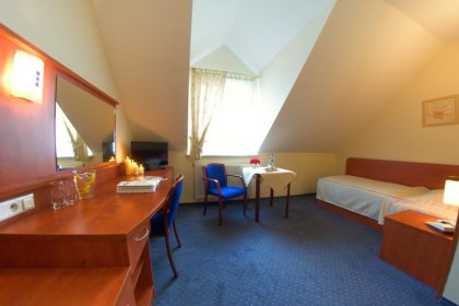 hotel *** - Hotel Daria *** - zdjęcie 7