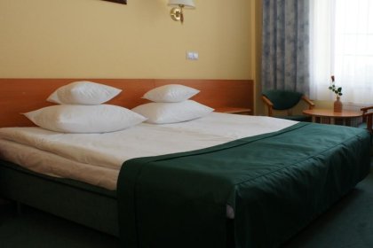 hotel *** - Hotel Rychło - zdjęcie 3