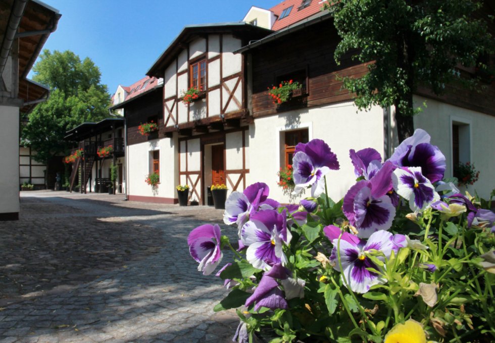 hotel *** - Hotel i Restauracja Zagroda Bamberska