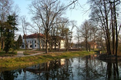pałac - Pałac Wiejce - zdjęcie 3