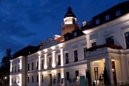 pałac - Pałac Wiejce - zdjęcie 5
