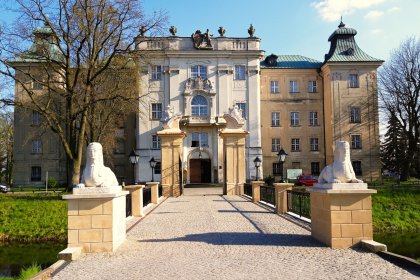 zamek - Zamek królewski w Rydzynie - zdjęcie 2