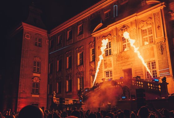 zamek - Zamek królewski w Rydzynie - Usługi - zdjęcie 12