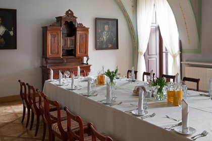 pałac - Willa Decjusza - zdjęcie 1