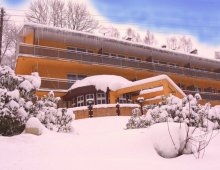 Hotel Wiktoria**