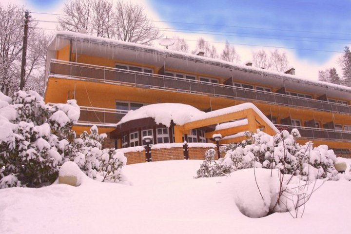 Hotel Wiktoria**