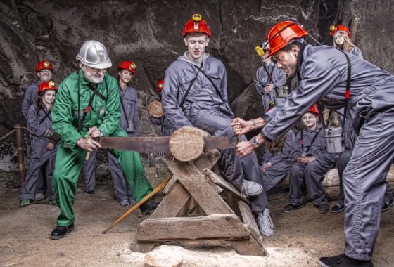 inny - Kopalnia Soli "Wieliczka" i Hotel Grand Sal**** - Usługi - zdjęcie 4