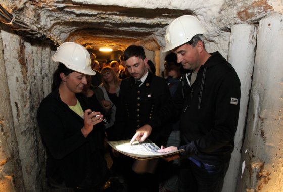 inny - Kopalnia Soli "Wieliczka" i Hotel Grand Sal**** - Usługi - zdjęcie 12