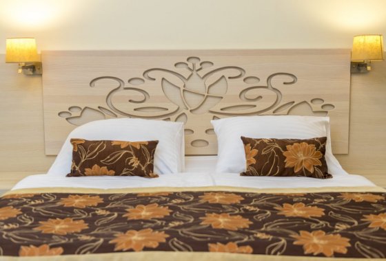 hotel *** - Hotel Toporów*** - Pokoje - zdjęcie 1