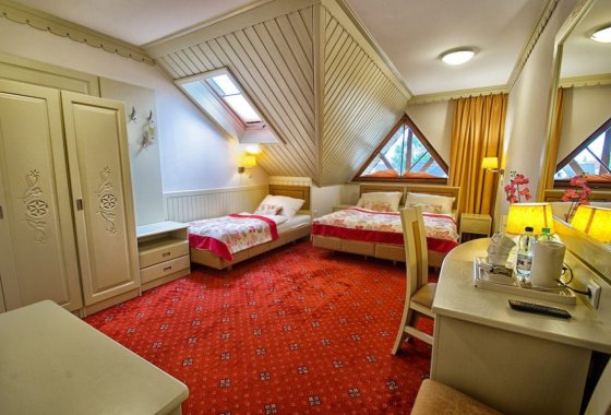 hotel *** - Hotel Toporów*** - Pokoje - zdjęcie 12