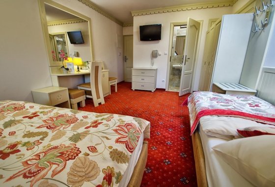 hotel *** - Hotel Toporów*** - Pokoje - zdjęcie 8