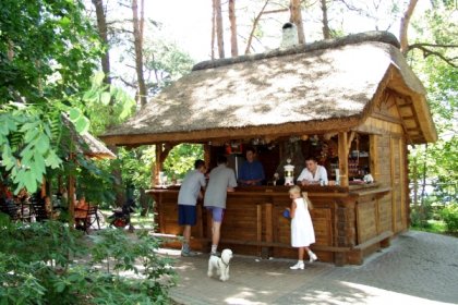 hotel - Hotel & Restauracja Leśny Dwór - zdjęcie 1