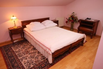 hotel - Hotel & Restauracja Leśny Dwór - zdjęcie 7
