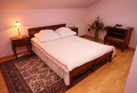 hotel - Hotel & Restauracja Leśny Dwór - Pokoje - zdjęcie 1
