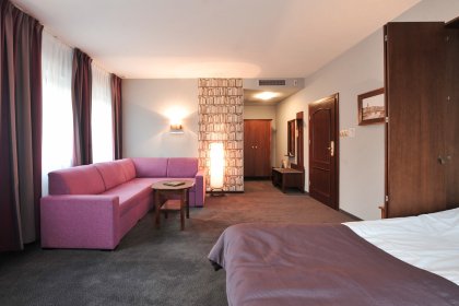 hotel *** - Hotel Młyn Elbląg - zdjęcie 13