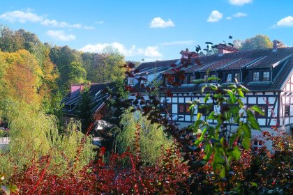 hotel *** - Klekotki Conference & SPA - zdjęcie 4
