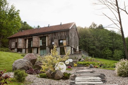 hotel *** - Klekotki Conference & SPA - zdjęcie 5