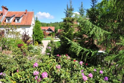 hotel *** - Klekotki Conference & SPA - zdjęcie 9