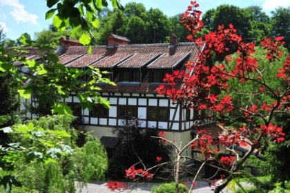 hotel *** - Klekotki Conference & SPA - zdjęcie 3