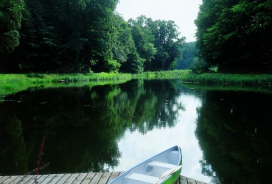 hotel *** - Klekotki Conference & SPA - Usługi - zdjęcie 13