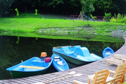 hotel *** - Klekotki Conference & SPA - zdjęcie 36