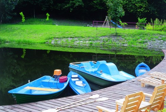 hotel *** - Klekotki Conference & SPA - Usługi - zdjęcie 12