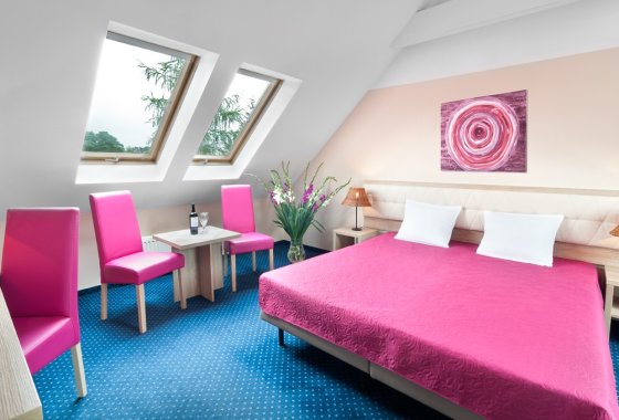 hotel *** - START hotel Petrus *** - Pokoje - zdjęcie 2