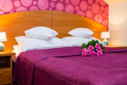 hotel *** - Hotel Ognisty Ptak*** - zdjęcie 8