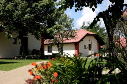hotel *** - Hotel Ognisty Ptak*** - zdjęcie 5