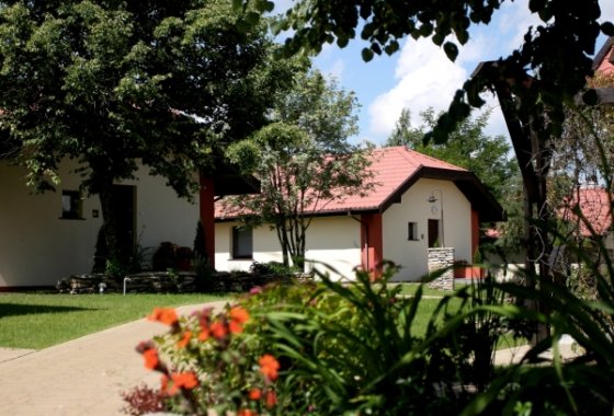 hotel *** - Hotel Ognisty Ptak*** - Pokoje - zdjęcie 1