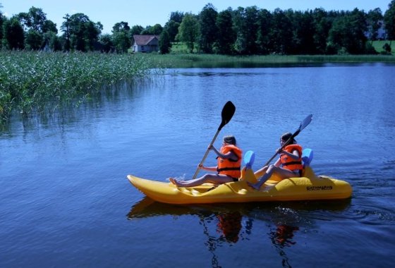 hotel *** - Hotel Ognisty Ptak*** - Usługi - zdjęcie 18