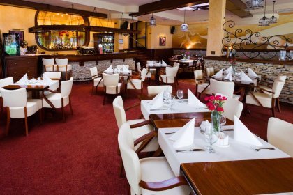 hotel *** - Hotel Ognisty Ptak*** - zdjęcie 17