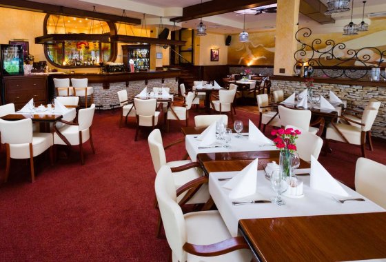 hotel *** - Hotel Ognisty Ptak*** - Usługi - zdjęcie 9