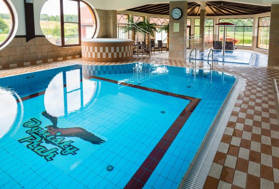 hotel *** - Hotel Ognisty Ptak*** - Usługi - zdjęcie 2