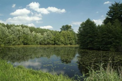 pałac - Pałacyk Łąkomin - zdjęcie 13