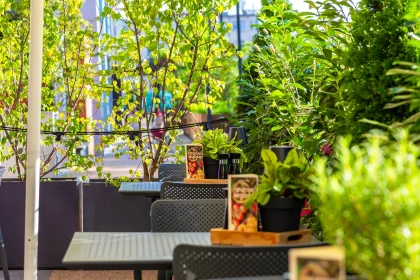 hotel **** - Hotel Mercure Poznań Centrum **** - zdjęcie 11