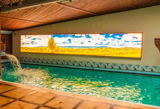 hotel **** - Hotel Senator **** Starachowice - Usługi - zdjęcie 5